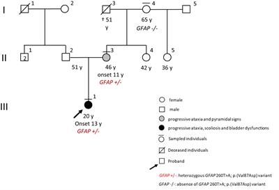 Case report: A novel mutation of glial fibrillary acidic protein gene causing juvenile-onset Alexander disease